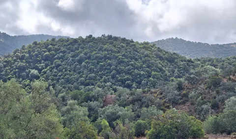 Image for the story: Sierra de Hornachuelos Natural Park opens a room about the skies of Sierra Morena