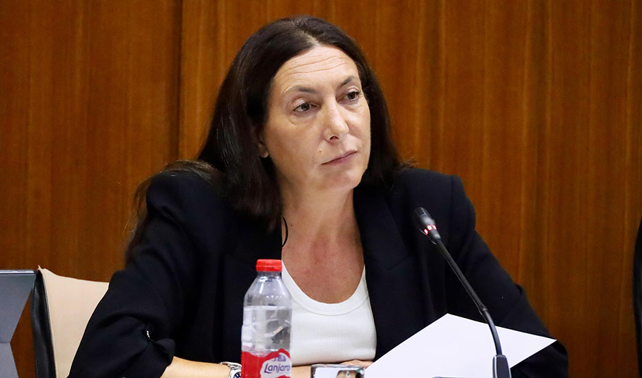 Imagen de la noticia: La Junta defiende en el Parlamento el reconocimiento de todas las realidades familiares