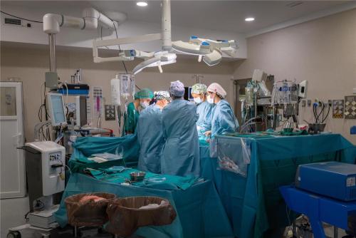 Imagen de la noticia: Extirpan en Málaga un tumor cardiaco de 11 centímetros a una paciente