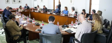 Imagen de la noticia: La Comisión avala la idoneidad de Marta Bosquet como Defensora del Pueblo Andaluz