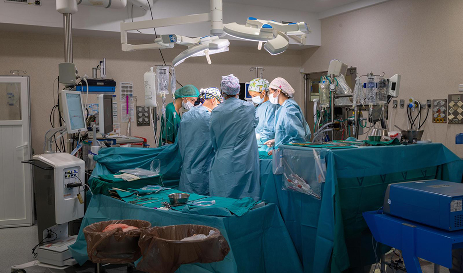 Imagen de la noticia: Extirpan en Málaga un tumor cardiaco de 11 centímetros a una paciente