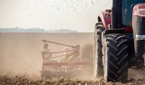 Imagen de la noticia: Andalucía empieza a pagar el anticipo de la PAC 2026 a más de 187.600 agricultores y ganaderos