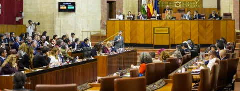 Imagen de la noticia: El Parlamento aprueba tres proposiciones sobre vivienda, campo y agravios al Estado